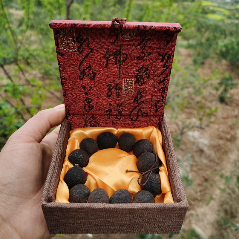 魅星紫青皮子手串柑胎手链青皮子陈皮果小青柑手镯佛珠8mm