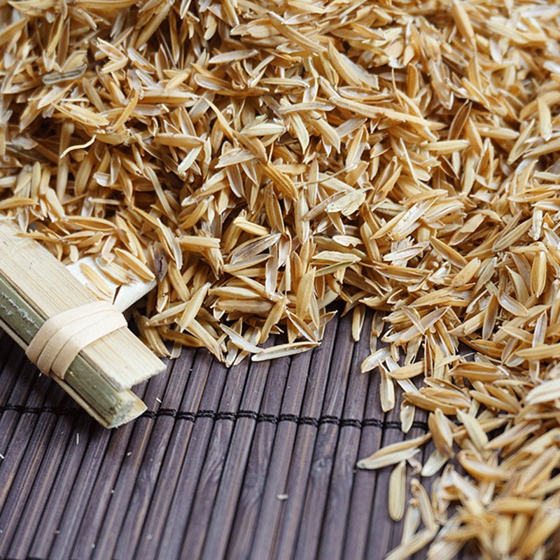 三木园艺 稻谷壳枕头养殖稻壳水稻壳酿酒稻谷壳新鲜宠物垫料粗糠壳