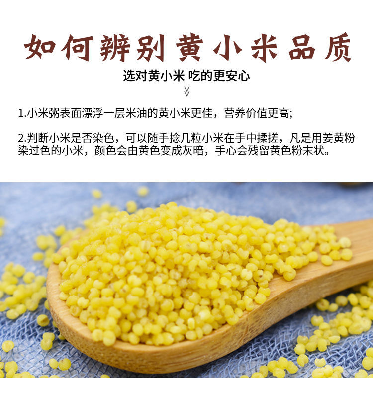 河北邢台特产南和金米吃的食用南和黄小米20年新小黄米2100g1盒