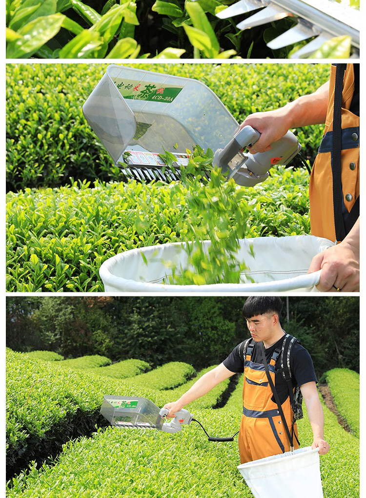 充电式电动采茶机单人小型自动剪茶叶采摘收割机锂电茶树修剪机器