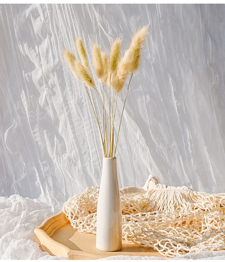兔尾草干花花束真花餐桌摆件网红ins风干文艺新房装饰摆件插花sn0593