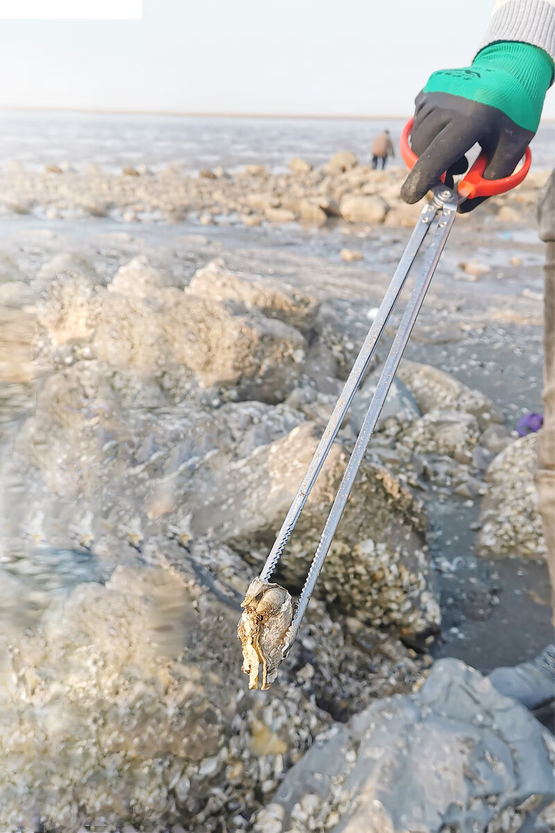 赶海神器抽虾器吸虾筒赶海工具大全赶海神器装备套装海肠抽子皮皮虾