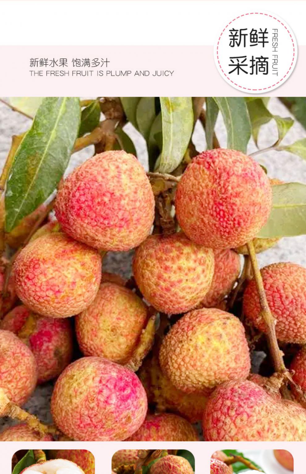 现货速发高州新鲜三月红荔枝荔枝新鲜水果当季水果产地现摘现发精选一
