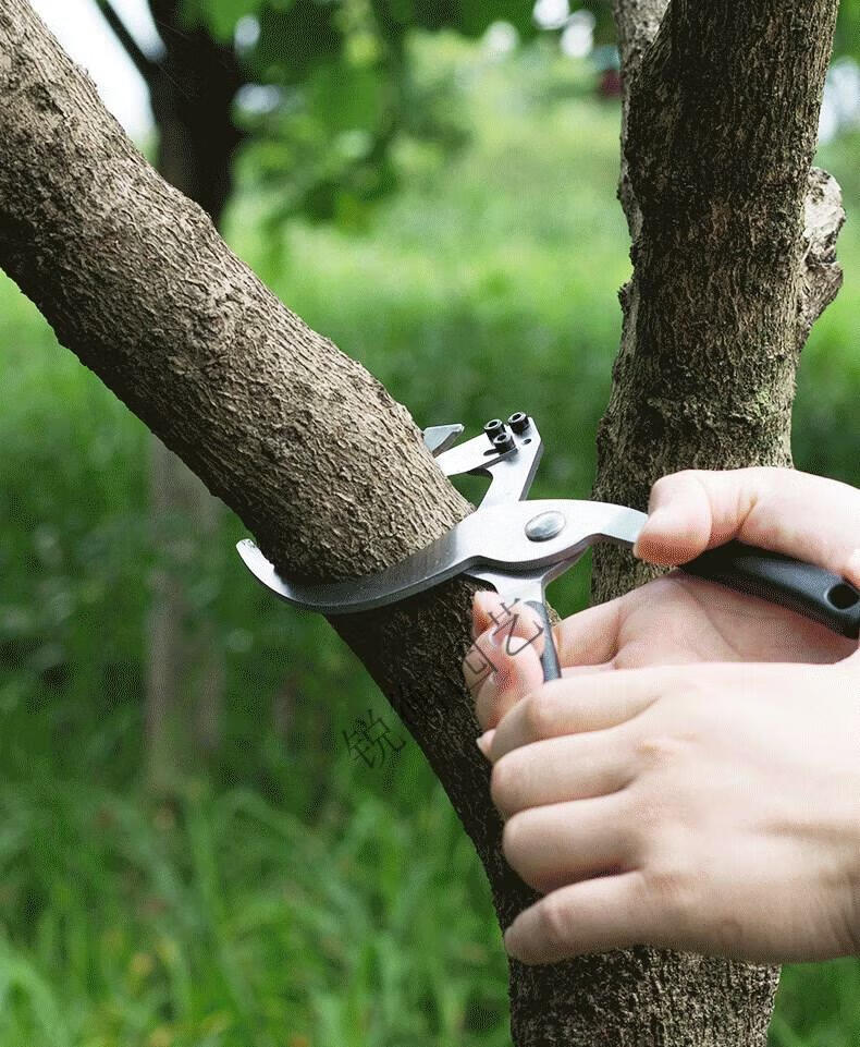 环割刀果树柑橘枣葡萄树老树皮剥皮刀开甲刀环割放水荔枝环剥器剪