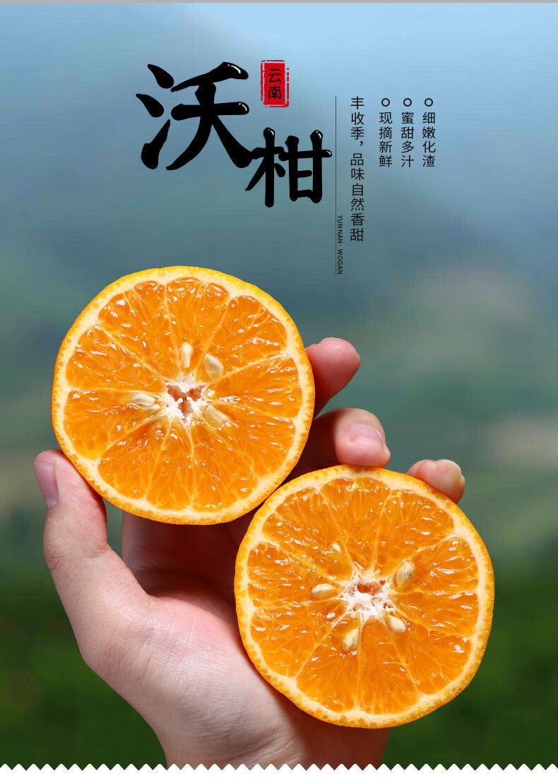 2022年现货云南反季水果批发青沃柑2/5/8斤皇帝柑酸甜 8斤中果【图片