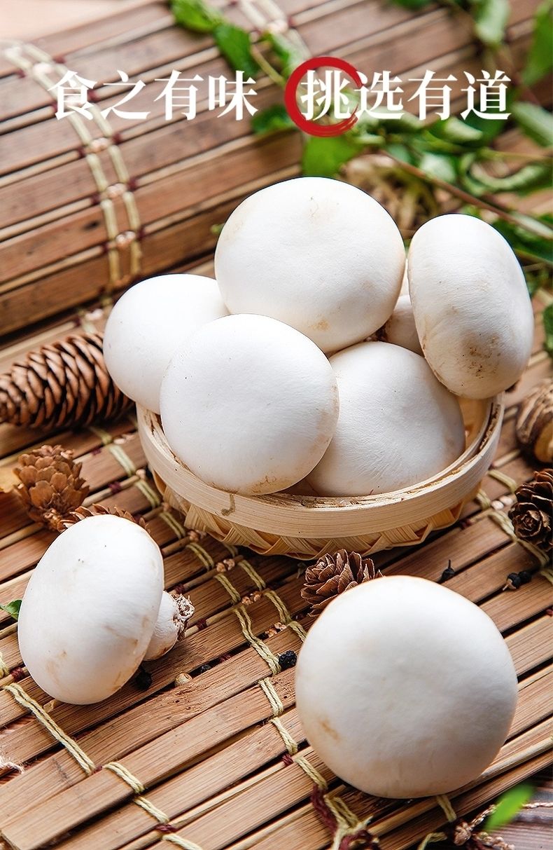 口蘑新鲜口蘑白蘑菇现摘发货绿色食材双孢菇实惠1斤精选口蘑
