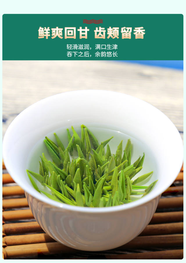 贵州茶叶雀舌茶2021新茶叶嫩芽明前茶竹叶浓香型遵义雀舌茶叶250克