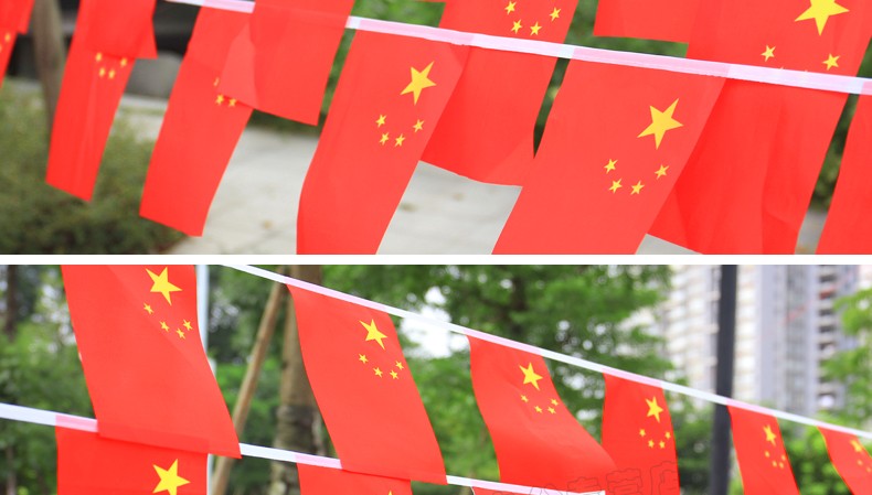 淘禧taoxi国庆小国旗串旗吊旗挂旗彩旗8号中国串旗五星红旗卖场装饰品