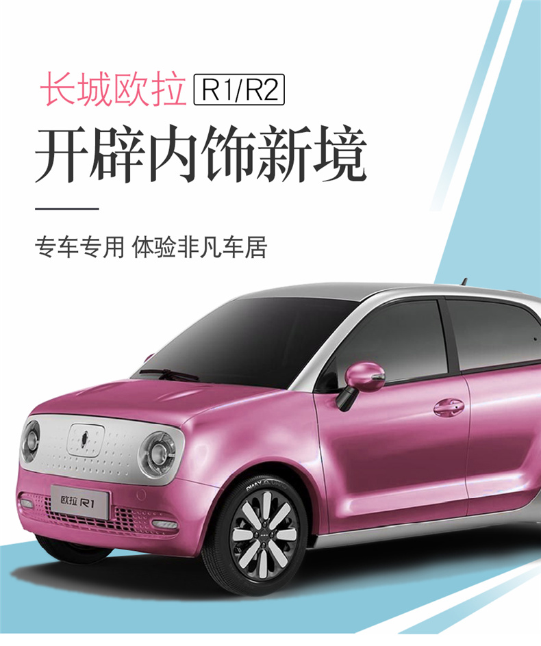 長城歐拉黑貓r1扶手箱專用白貓r2新能源電動車定製改裝內飾中央儲物箱