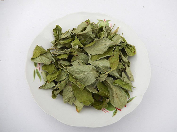 19新货干花生叶1500克无霉变无农药花生叶茶泡茶