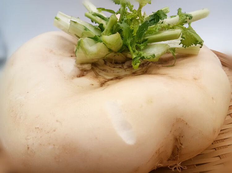 温州乐清特产新鲜山地盘菜头盘菜农家自种盆菜扁头萝卜600克左右 600g