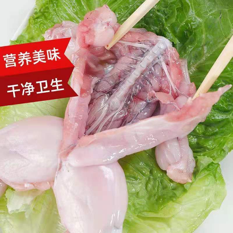 新鲜去头去皮去内脏牛蛙肉鲜活牛蛙现杀30冰衣锁鲜护航高质量牛蛙三斤
