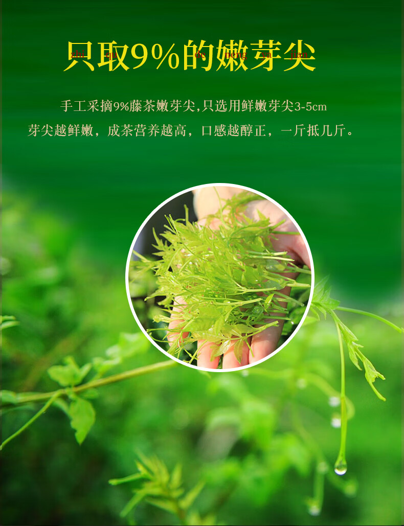 藤茶恩施野生特级510g湖北来凤富硒龙须芽尖散装非【图片 价格 品牌