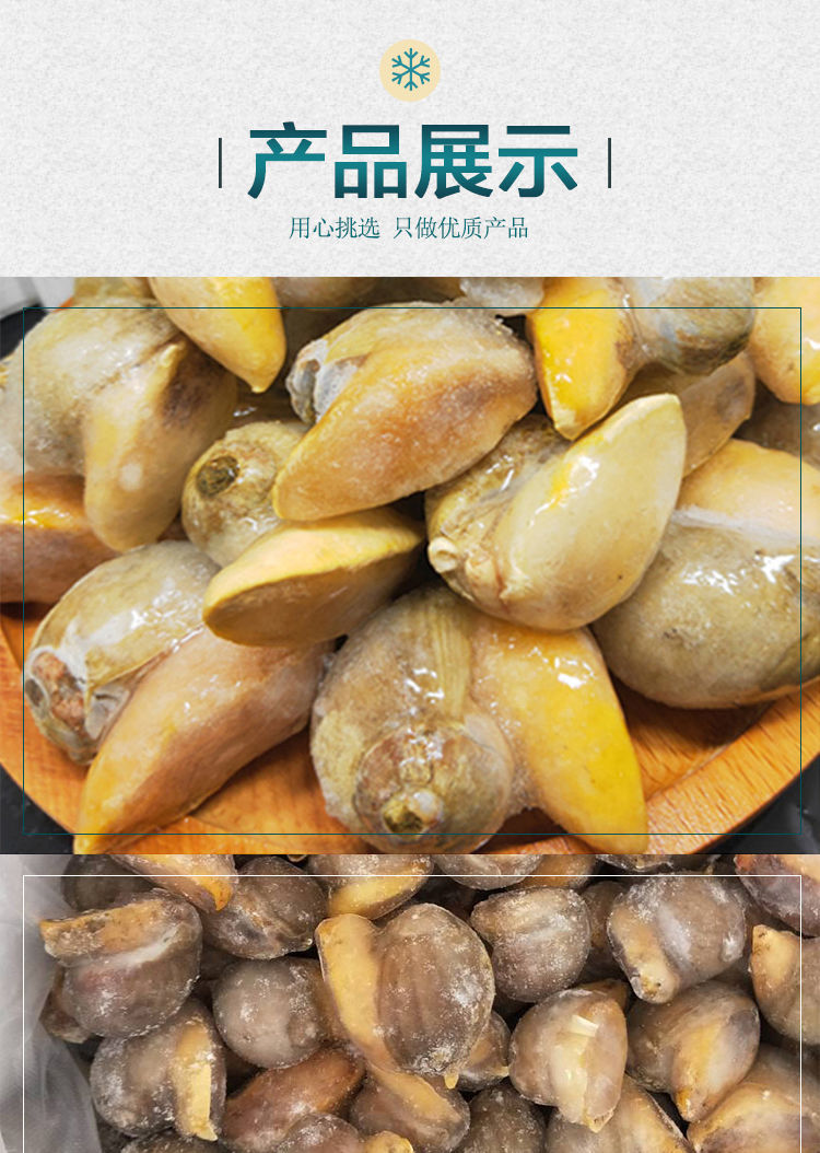 鲍螺老婆脚海鲜鲜活假鲍鱼螺网红珍珠鲍螺带壳速冻鲍鱼螺黄金鲍螺大号