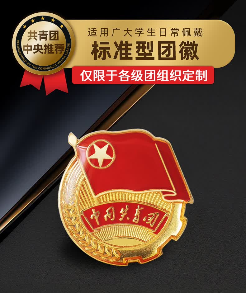 2021新款加厚标准型团徽共青团中央监制团徽胸针团员徽章磁扣款标准