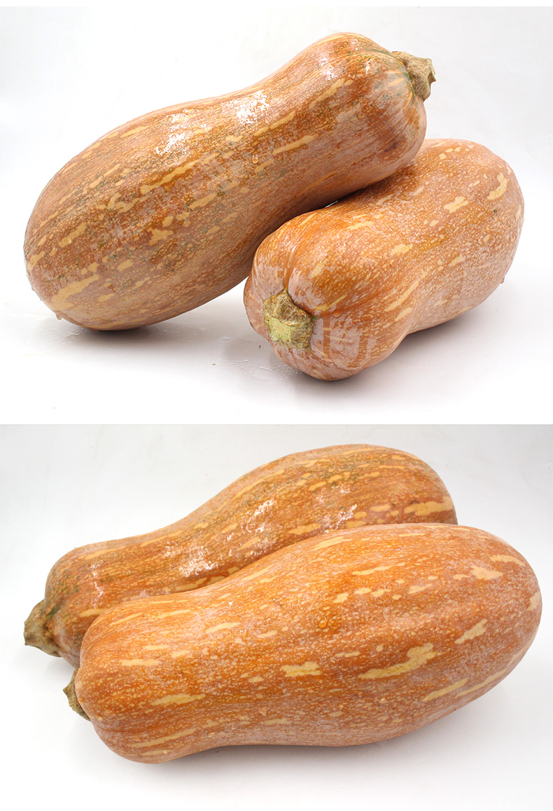 云南新鲜老南瓜农家自种老品种粉糯香甜黄南瓜小南瓜78斤单果5003000g