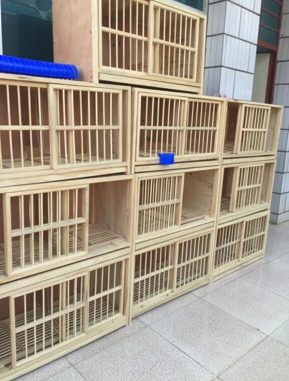 金石榴农资专营店 配对笼 鸽子巢箱 鸽具实木鸽子笼 赛鸽笼 组装拆装