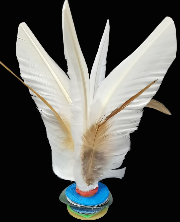 小学生腱子羽毛运动耐踢鸡毛毽子 大白毽高16厘米(2个)高弹健身【图片