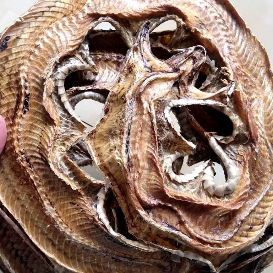 中药材蕲蛇 蕲蛇粉 五步蛇干 八步蛇 蕲蛇干泡酒料 蕲蛇100克