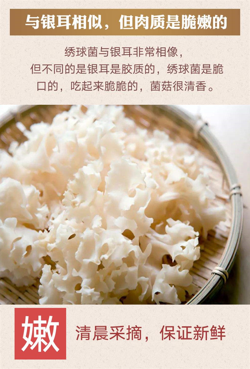 新鲜绣球菌2斤绣球菇食用菌菇凉拌煲汤火锅酒店食材顺丰1000g 白色