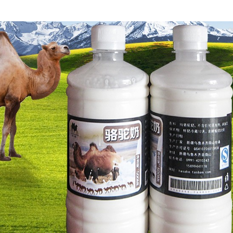 芝麻官2斤骆驼奶新疆哈萨克族骆驼鲜奶骆驼奶奶顺丰空运新鲜牧场直供