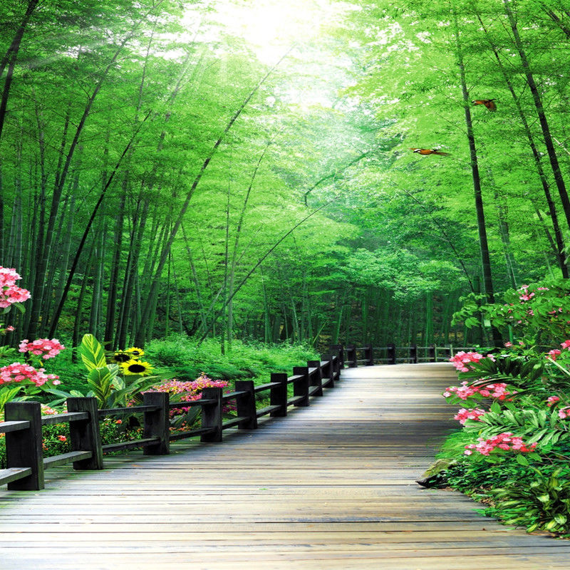 主播直播背景布墙纸装饰背景布抖音快手拍视频外景新款竹林背景布6202