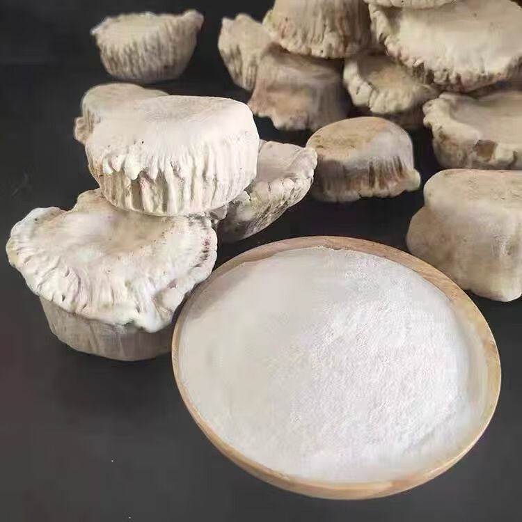 鹿角帽吉林梅花鹿角冒鹿托盘鹿角帽 鹿角帽可免费磨粉 鹿角帽粉(500克