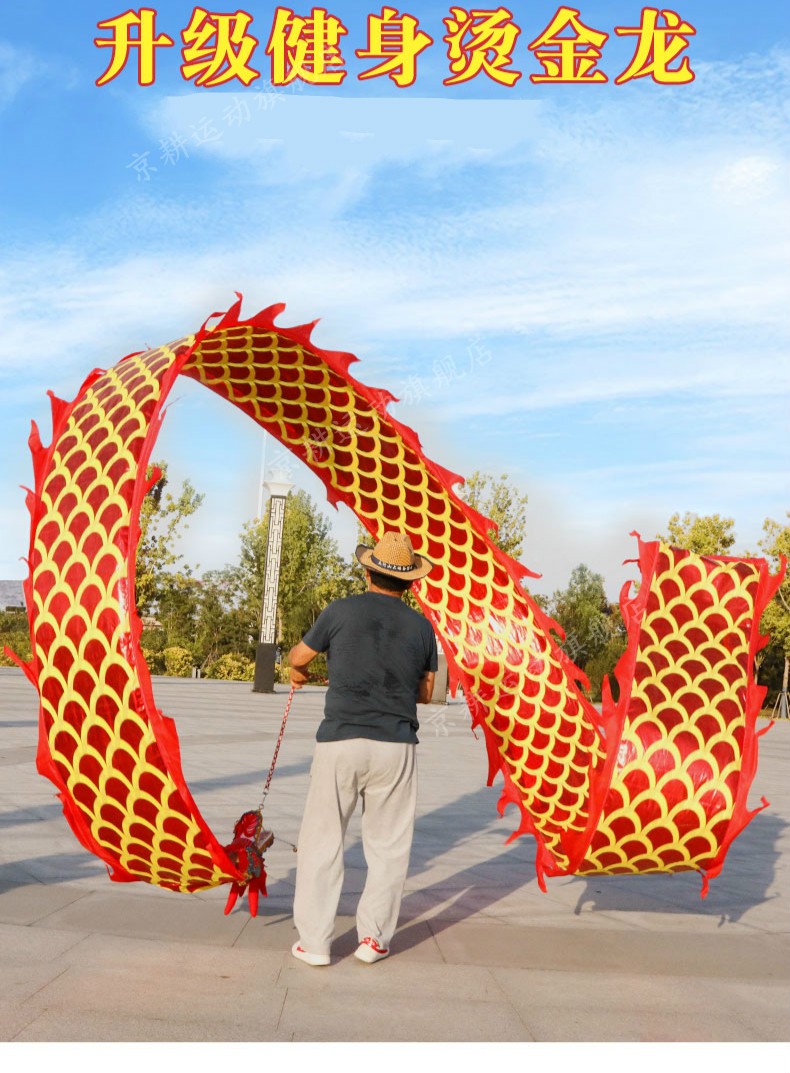 儿童舞龙广场健身甩龙舞龙彩带甩彩条初学中老年耍布龙头节目 【2米