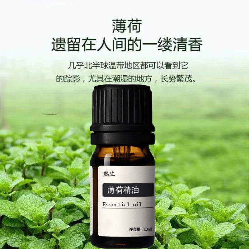 天然薄荷精油提i神醒i脑滴鼻液头疗精油纯薄荷油防i蚊虫叮咬止痒清凉