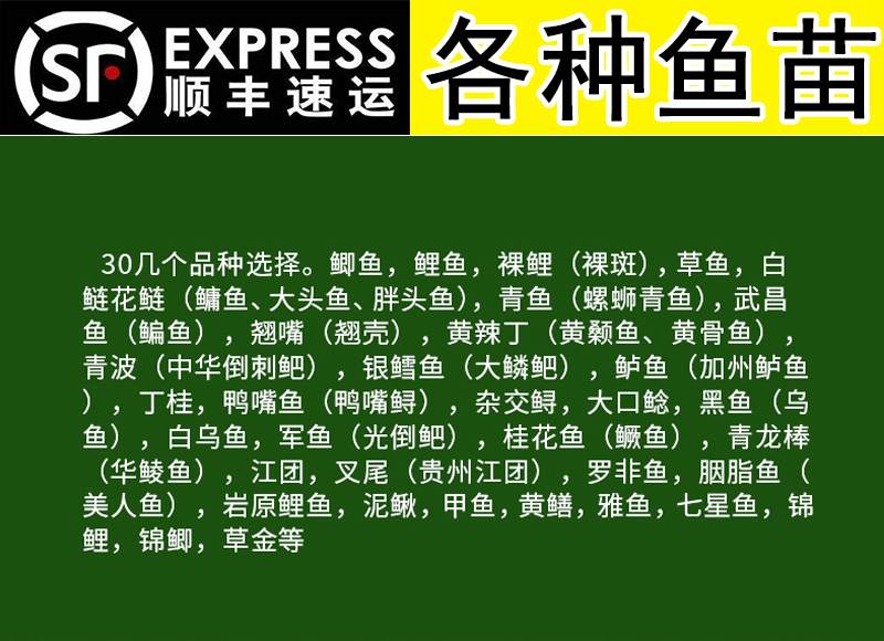 sqianpet 宝熙 豆乐奇(douleqi) 更多>>品牌: 采缇(caiti) 商品名称