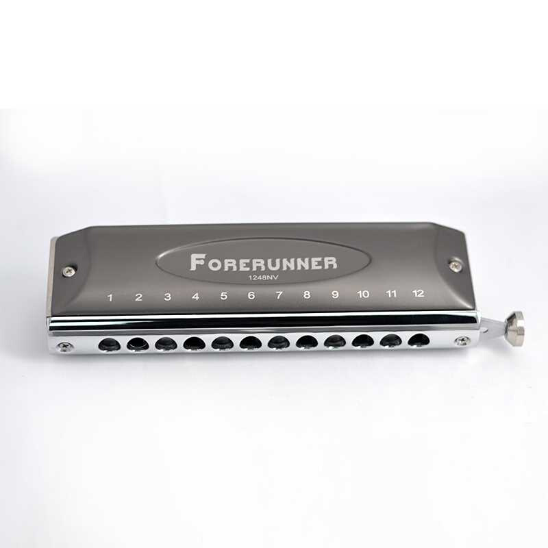 东方鼎先行者12孔半音阶无膜片不黏膜口琴新手初学学生入门练习款