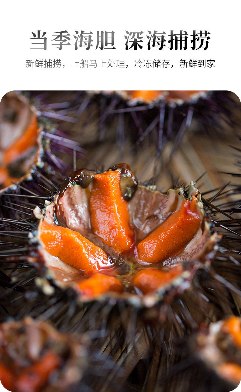 海胆新鲜海胆肉漂烫海胆海胆炒饭料理食材生鲜新加明亚海胆肉两盒装