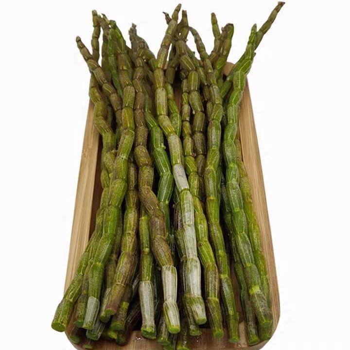 正宗霍山鲜石斛四年新鲜条石斛生铁皮鲜石斛条100g-500g沁溪 精品鲜