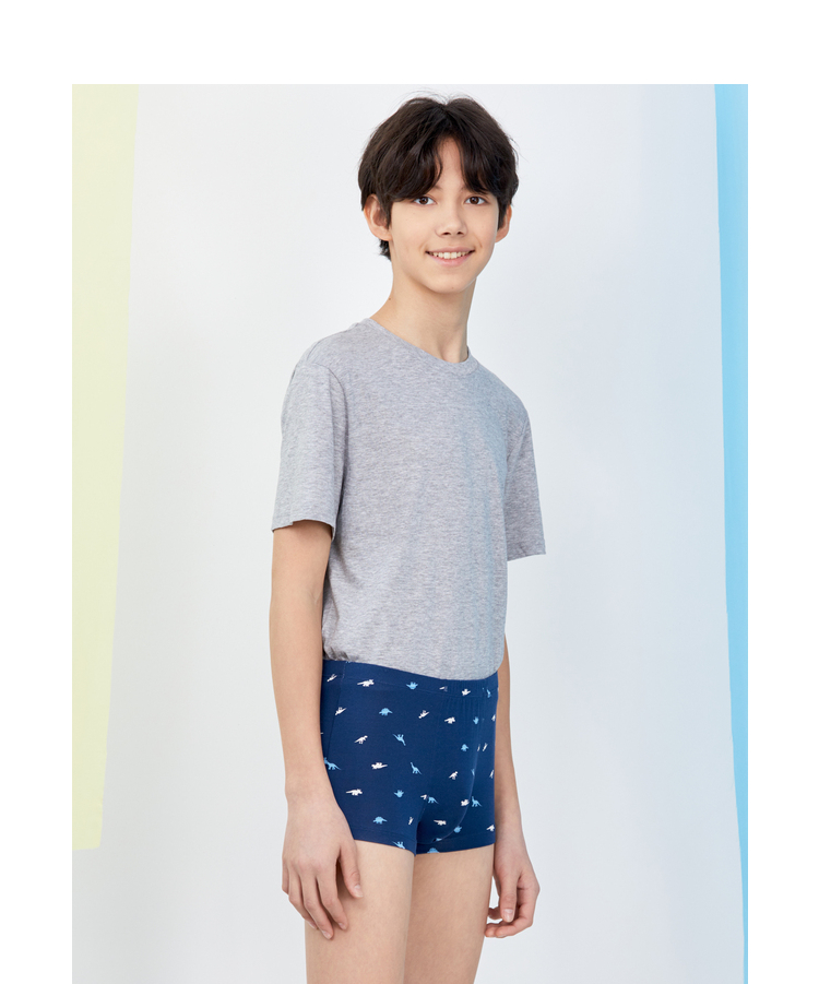 【2条装】爱慕儿童爱慕少年内裤中腰平角裤两件包男孩恐龙印花2条装