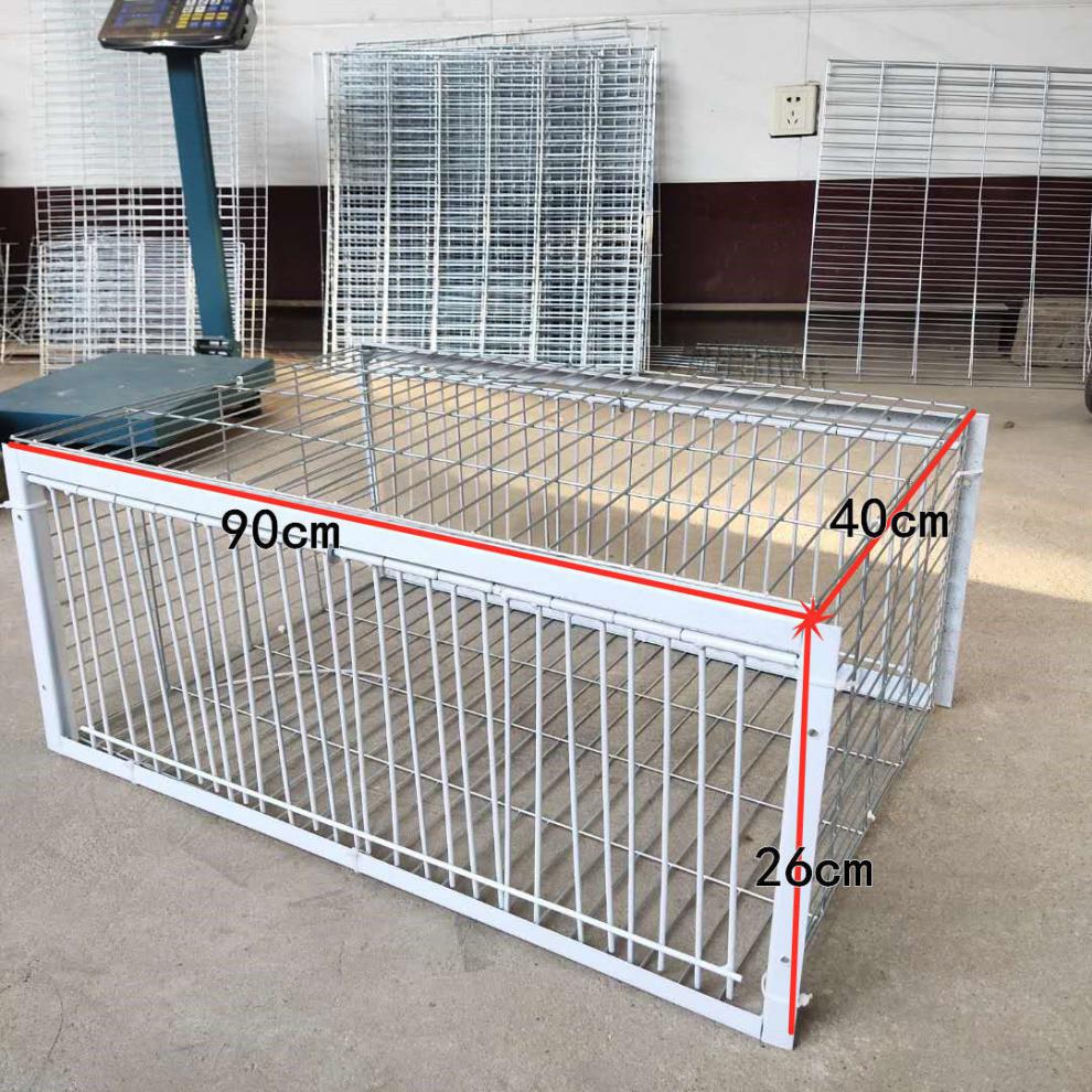 逮天落鸽子笼子设计图片
