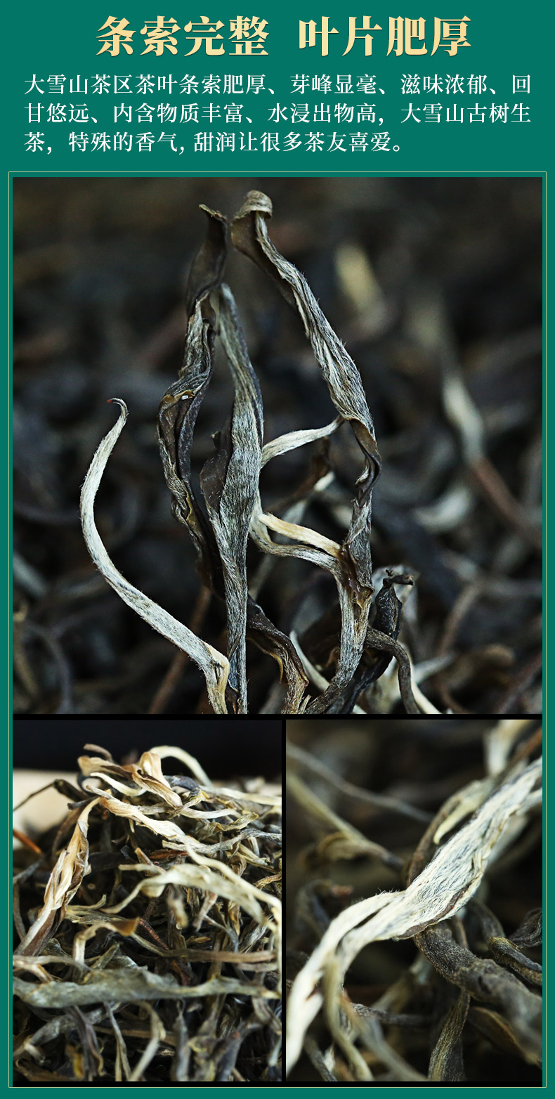 斤1斤普耳茶生茶散茶临沧大雪山头春古树茶散装生普茶叶