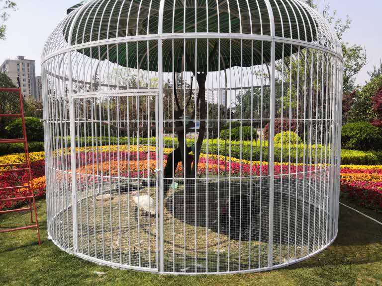 全诺酷铁艺特大号鸟笼鸽子鹦鹉鸟笼户外大型超大巨型鸟笼装饰孔雀养