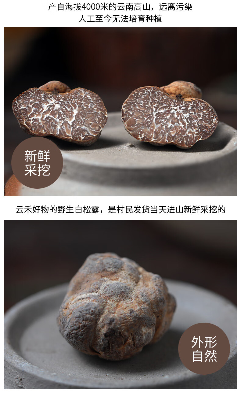 好物新鲜白松露云南特产菌菇黑松露菌块菌猪拱菌法品种 白松露(4-5cm)