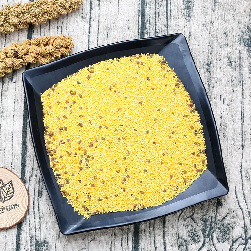 新米农家自产月子米苦荞小米五谷杂粮粥1斤5斤小黄米 小米苦荞5斤独立