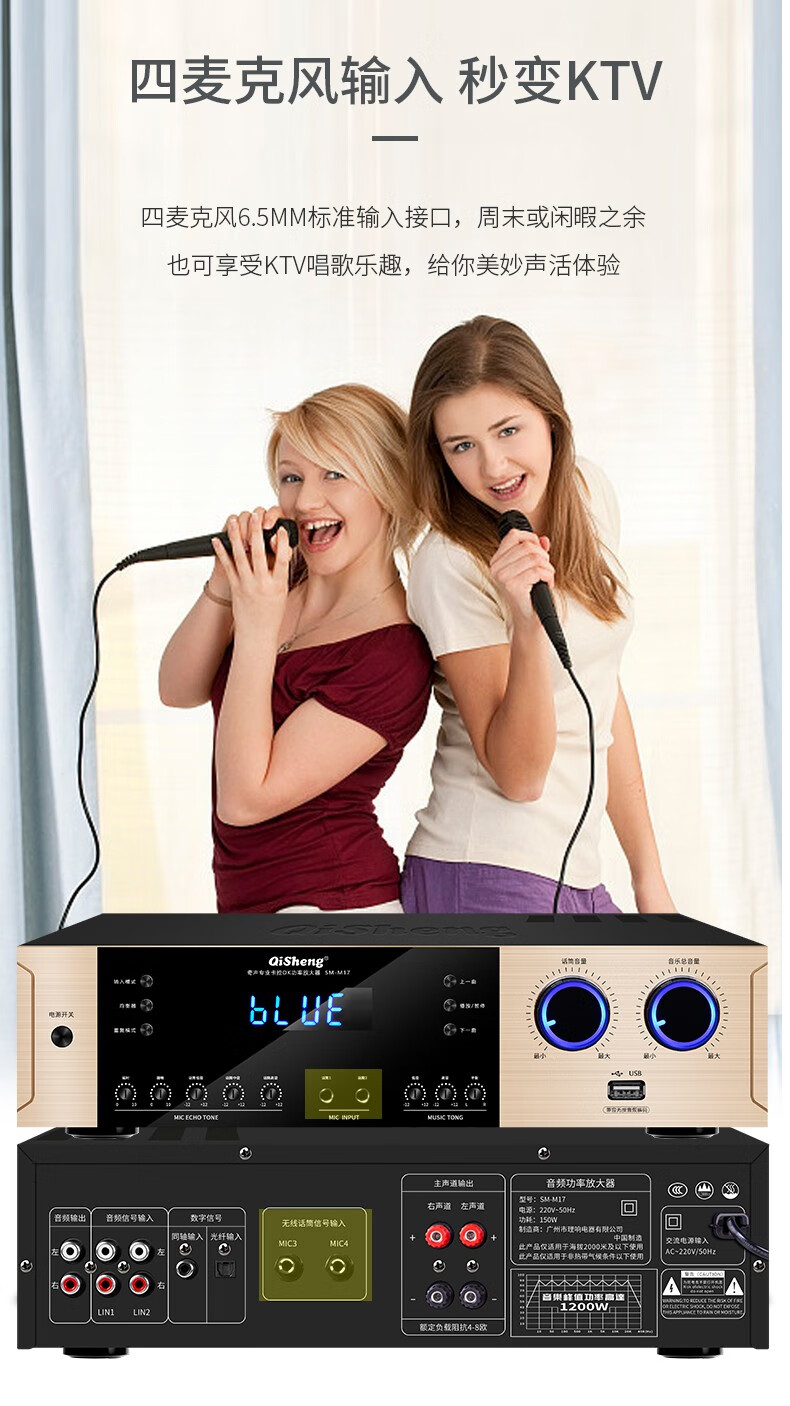 奇声(qisheng) 大功率功放机家庭ktv音响套装家用功放机卡拉ok qs-q9