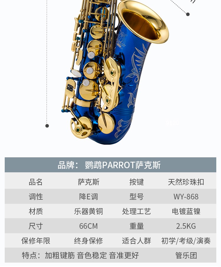 鹦鹉parrot中音萨克斯降e调高音降b调萨克斯风初学成人演奏考级 电泳
