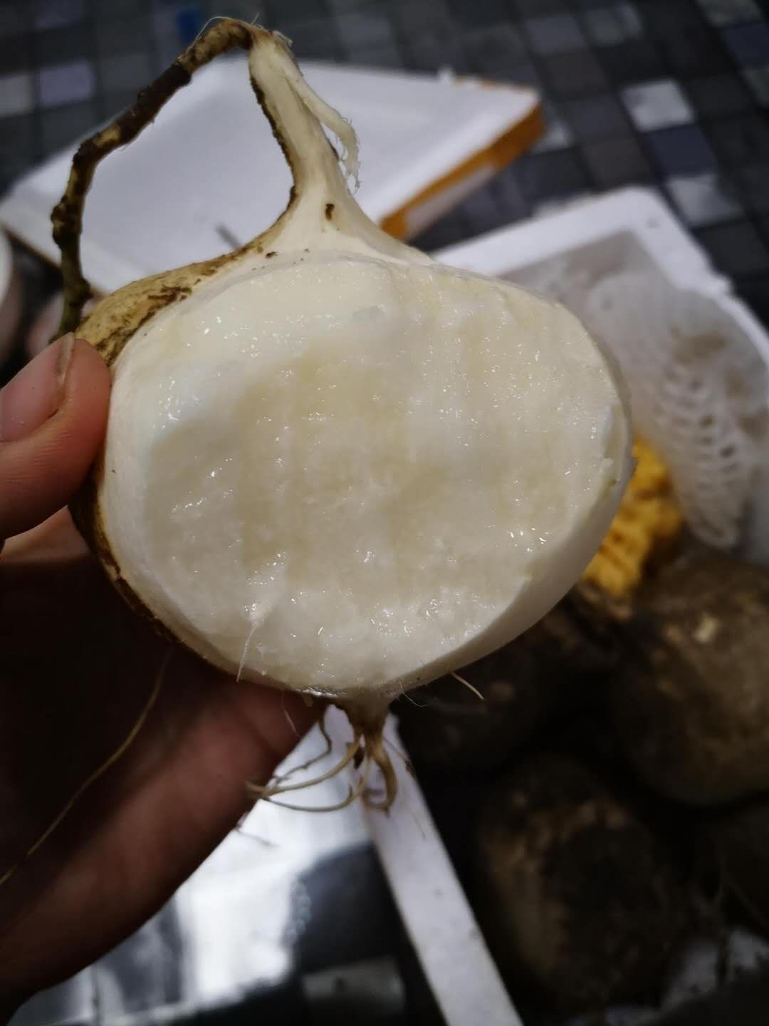 现挖凉薯新鲜白地瓜地萝卜四川农家特产蔬菜新鲜水果白薯番薯土瓜 5斤