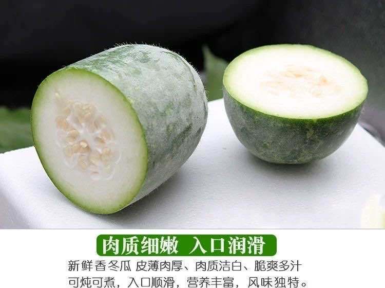 新鲜小冬瓜现摘现发农家自种迷你挂霜冬瓜绿色蔬菜2斤10斤23斤水果小