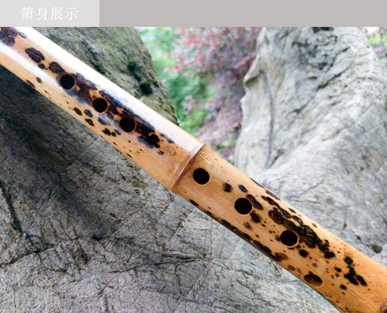奇宝居玉屏箫笛专业演奏级虎皮竹南箫斑竹典藏级大头箫乐器通口箫