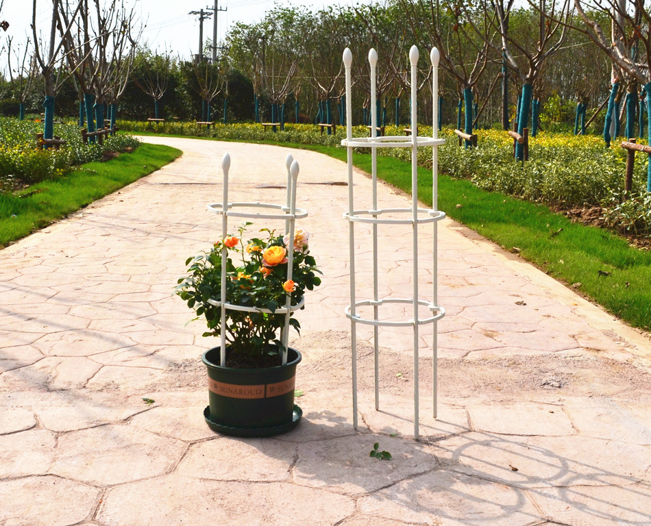 花架爬藤架子铁线莲月季花支架花盆植物攀爬支架室内固定花支撑杆虎雀