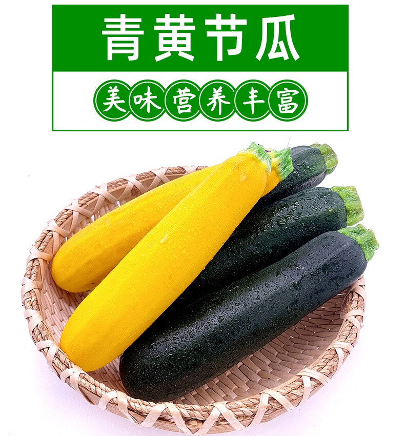 新鲜青黄节瓜1000g沙拉蔬菜黄节瓜西餐食材青节瓜西葫芦 1500g