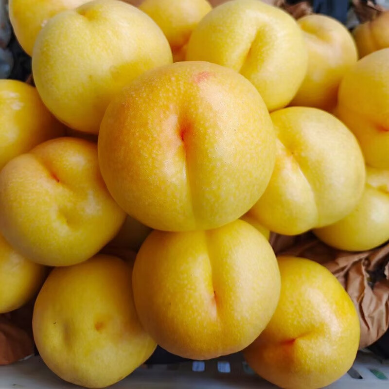 山东蒙阴黄油桃 新鲜水果 现摘现发 4.5-5斤
