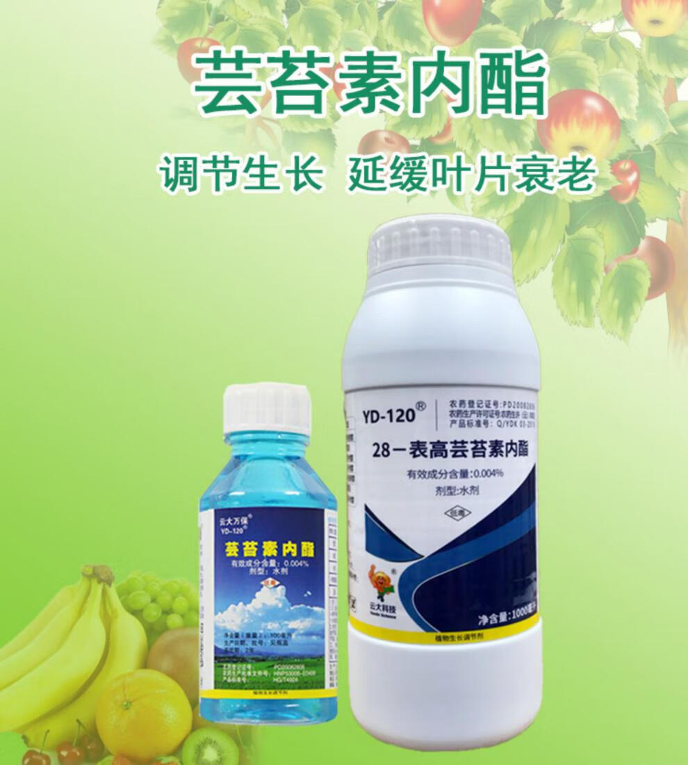 云大万保 120 芸苔素内酯 增糖增产促进生长生长调节剂 100ml【图片