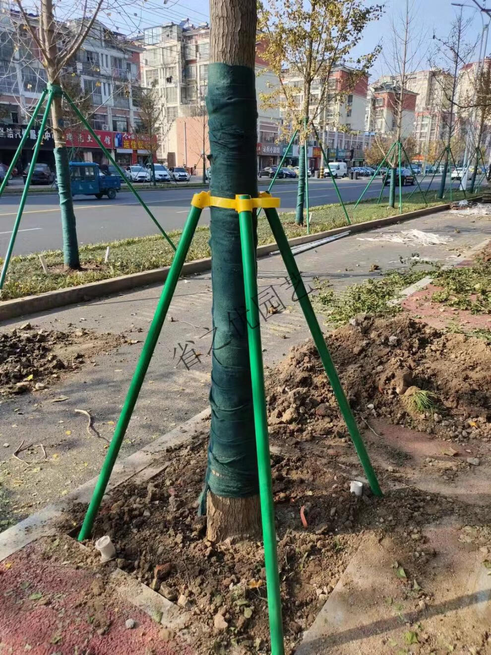 镀锌钢管树木支撑架树木支撑杆大树防风树支撑园林绿化支架固定器