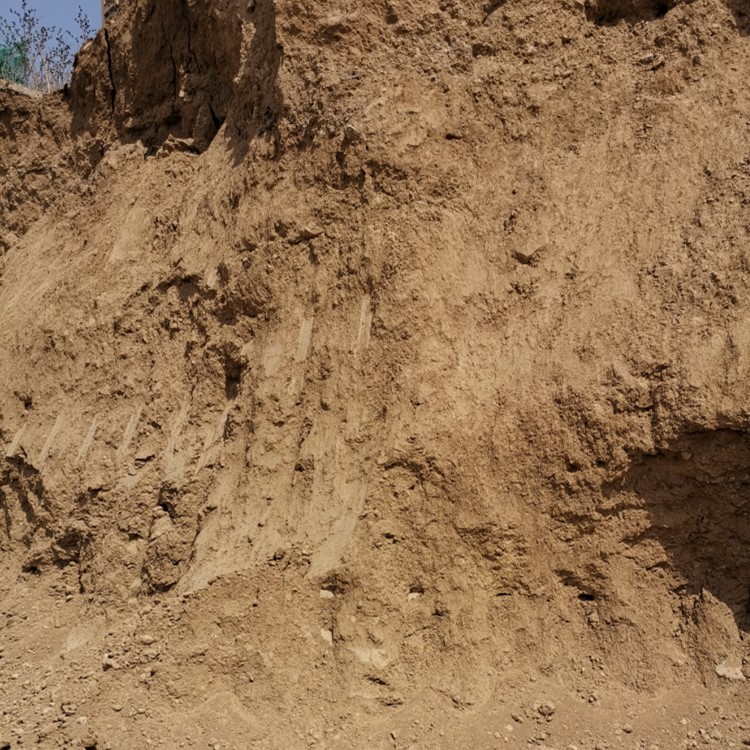 黄土养花种菜种植土园艺盆栽阳营养土泥土有机土壤泥块包 500斤黄土